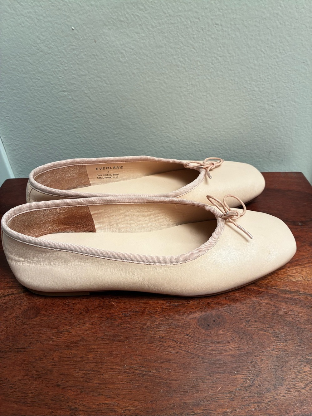 Everlane pink leather ballet flats size 5